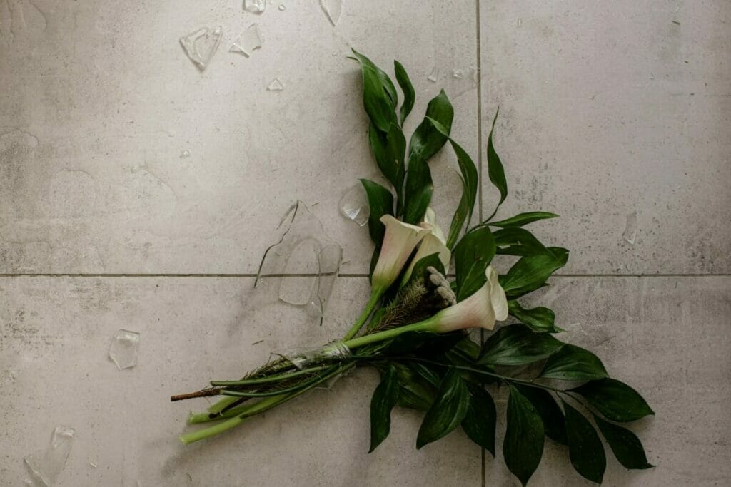 Green Leaves on White Wall